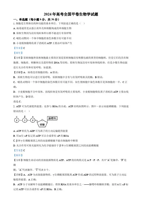 2024年高考真题——理综生物(全国甲卷) Word版含解析