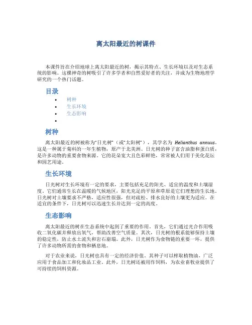 离太阳最近的树课件