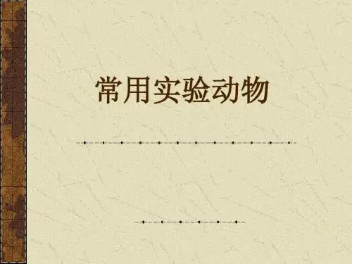 常用实验动物