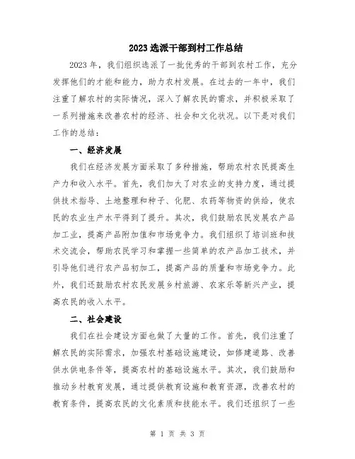 2023选派干部到村工作总结