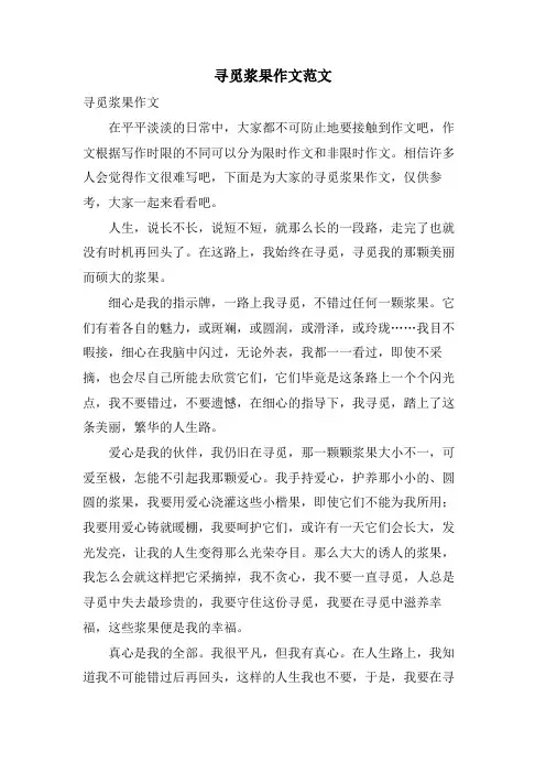 寻觅浆果作文范文
