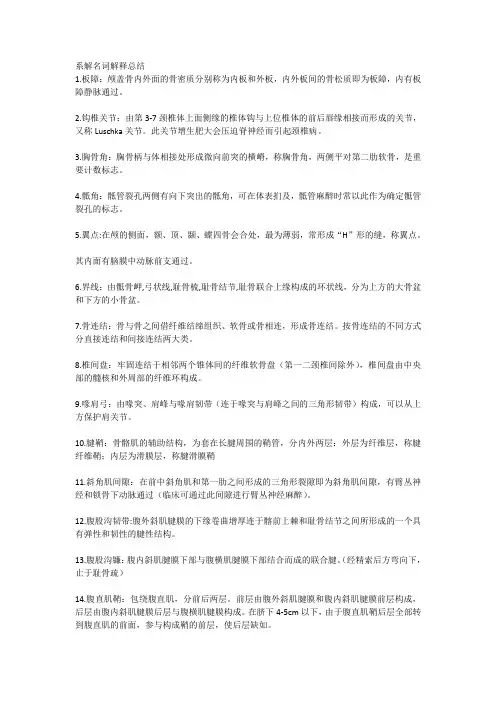 系统解剖名词解析