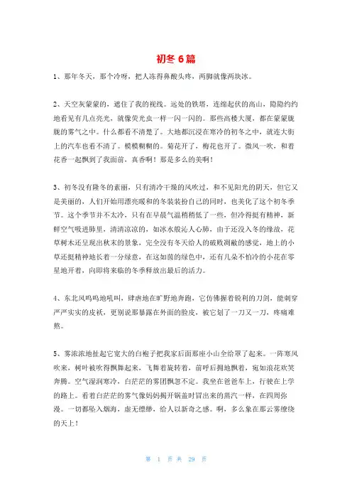 初冬6篇_精品文档