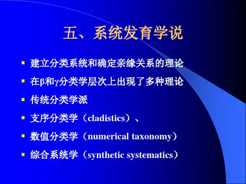 系统发育