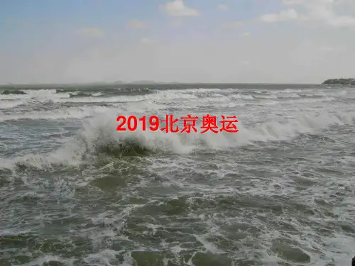 2019北京奥运