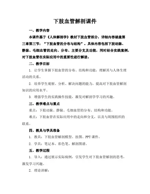下肢血管解剖课件