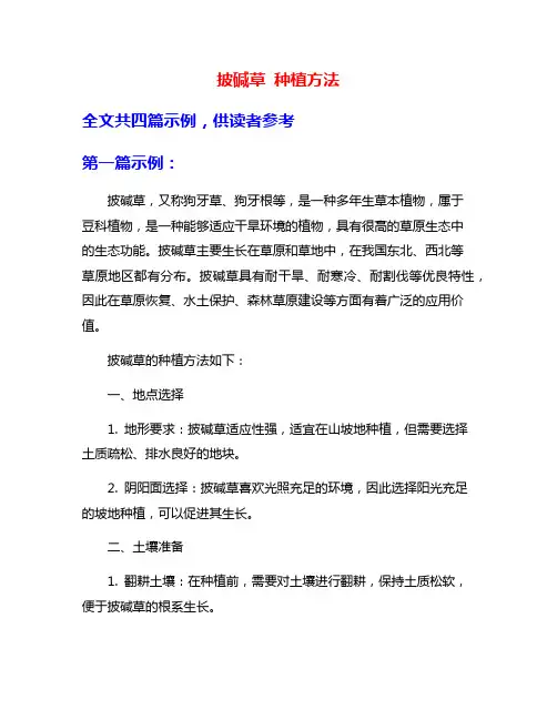 披碱草 种植方法