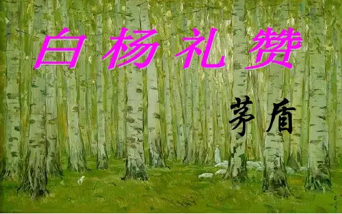 人教部编版八年级上第15课《白杨礼赞》课件 (共42张PPT)