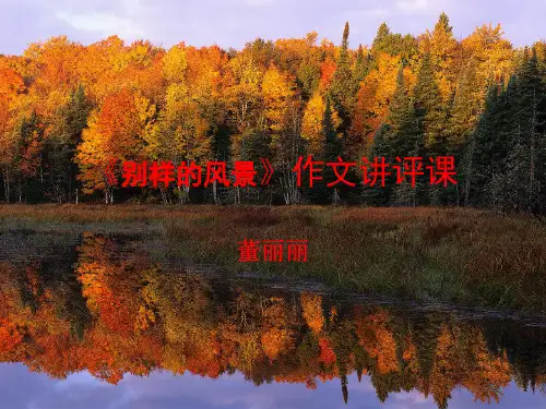 别样的风景作文讲评20130924