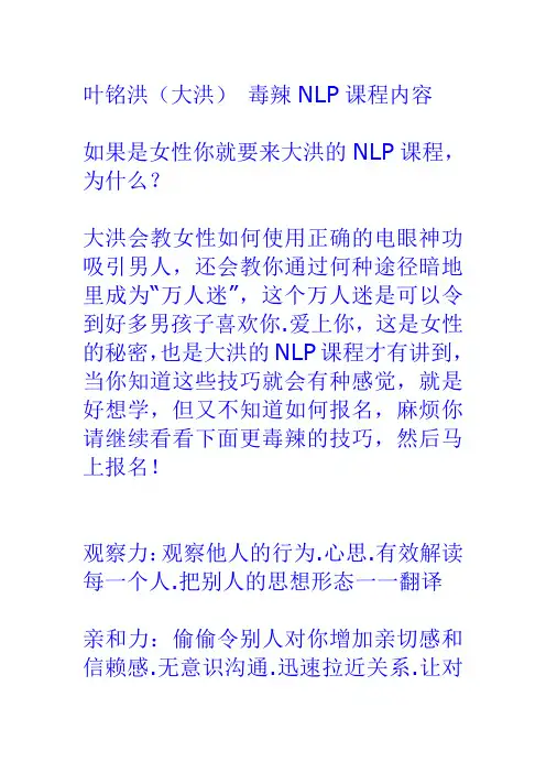 叶铭洪(大洪)毒辣NLP课程