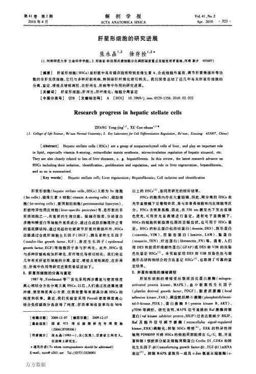 肝星形细胞的研究进展