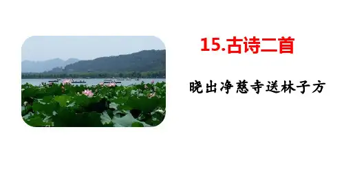 《晓出净慈寺送林子方》古诗二首(ppt)课件