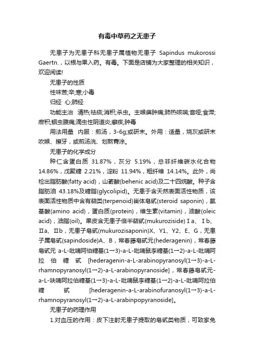 有毒中草药之无患子