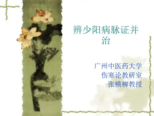 伤寒论少阳病篇