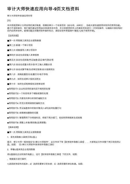 审计大师快速应用向导-9页文档资料