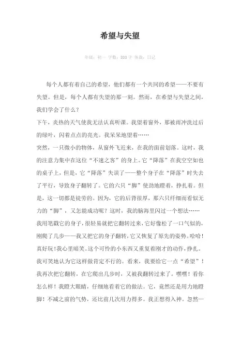 希望与失望800字作文
