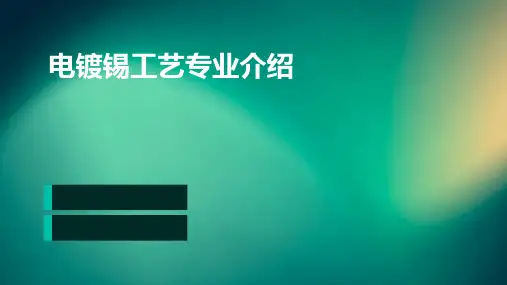 电镀锡工艺专业介绍
