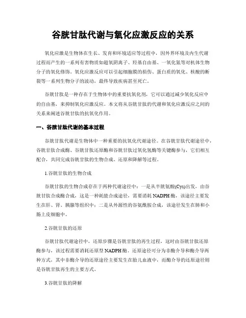 谷胱甘肽代谢与氧化应激反应的关系