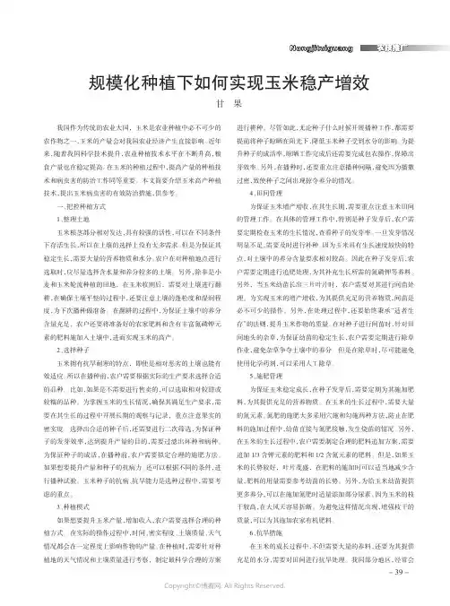 规模化种植下如何实现玉米稳产增效