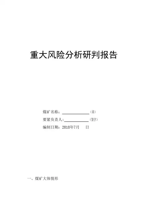 重大风险分析研判报告