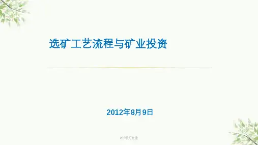 金矿选矿工艺流程图课件