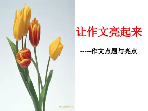 中考语文《作文点题与亮点》(共37张PPT)(优秀课件)