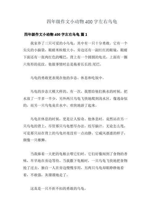 四年级作文小动物400字左右乌龟