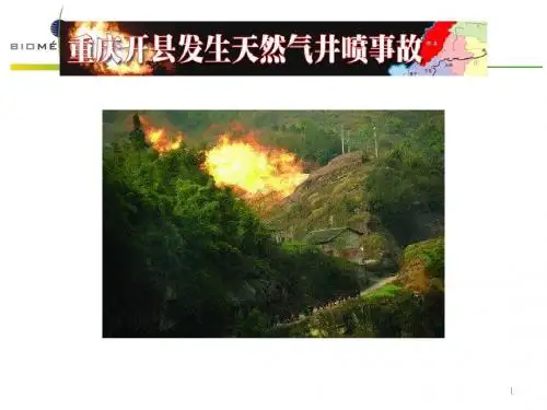 井喷事故分析