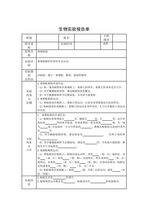 观察蚯蚓实验报告单