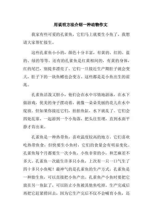 用说明方法介绍一种动物作文