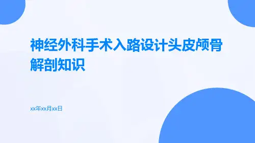 神经外科手术入路设计头皮颅骨解剖知识