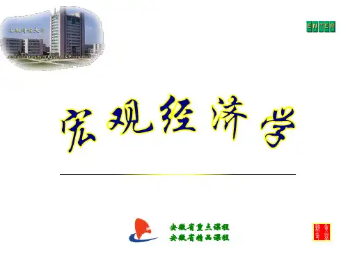 宏观经济学-宏观经济学的微观基础