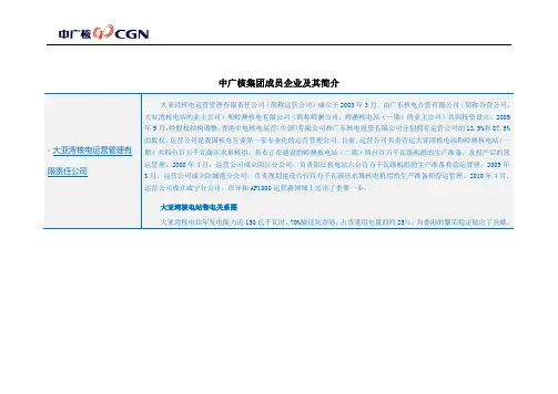 中广核集团成员企业及其简介