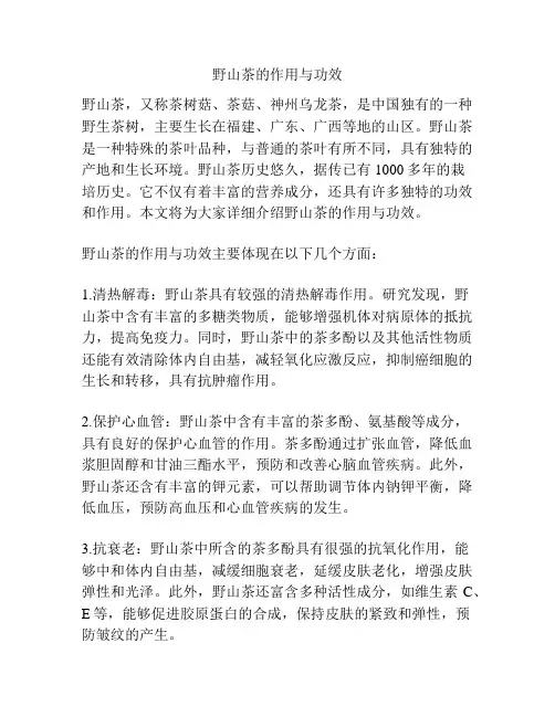 野山茶的作用与功效