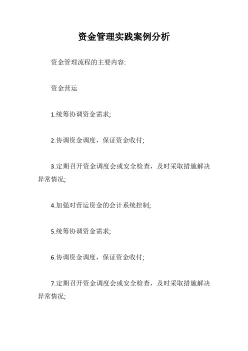 资金管理实践案例分析【最新版】