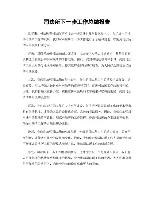 司法所下一步工作总结报告