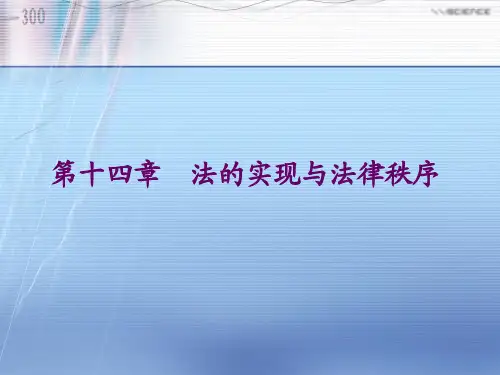 法理学导论 第十四章法的实现与法律秩序