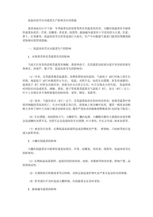 低温冰冻雪灾对蔬菜生产影响及应对措施