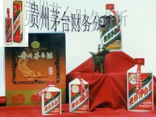 财务管理06级学生作品025贵州茅台财务分析2