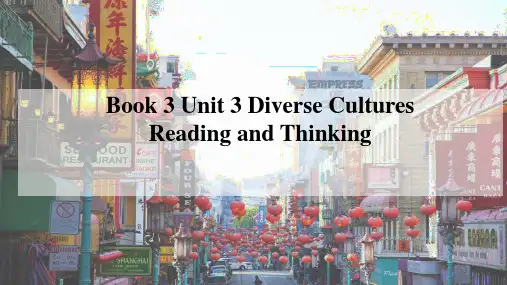 Unit3 Diverse cultures课件-高中英语人教版(2019)必修第三册
