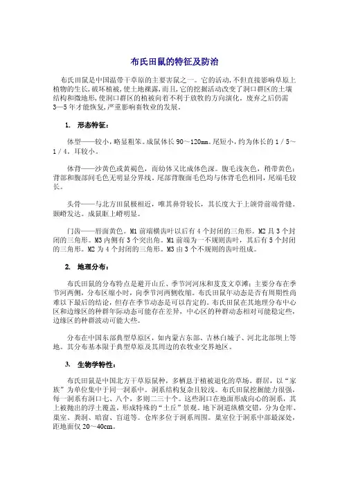 布氏田鼠的特征及防治