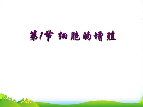 人教版高中生物必修一件：第六章第1节《细胞的增殖》(共27张PPT)