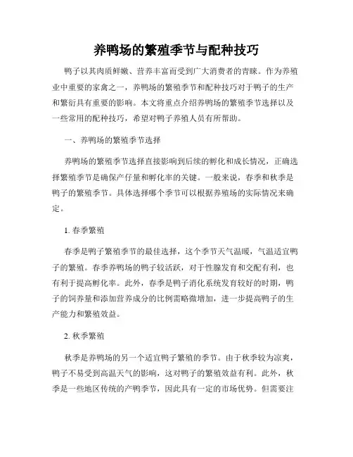 养鸭场的繁殖季节与配种技巧