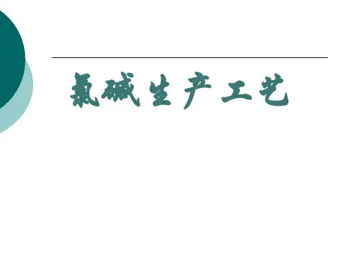 氯碱工艺