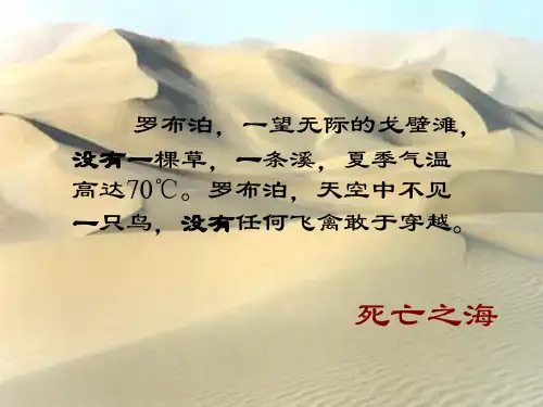 罗布泊.PPT
