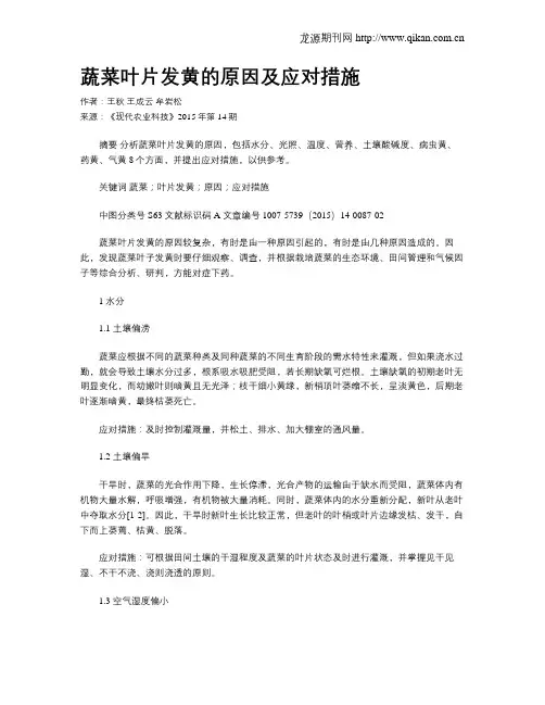 蔬菜叶片发黄的原因及应对措施