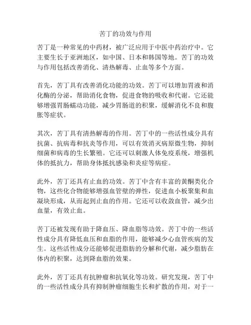 苦丁的功效与作用