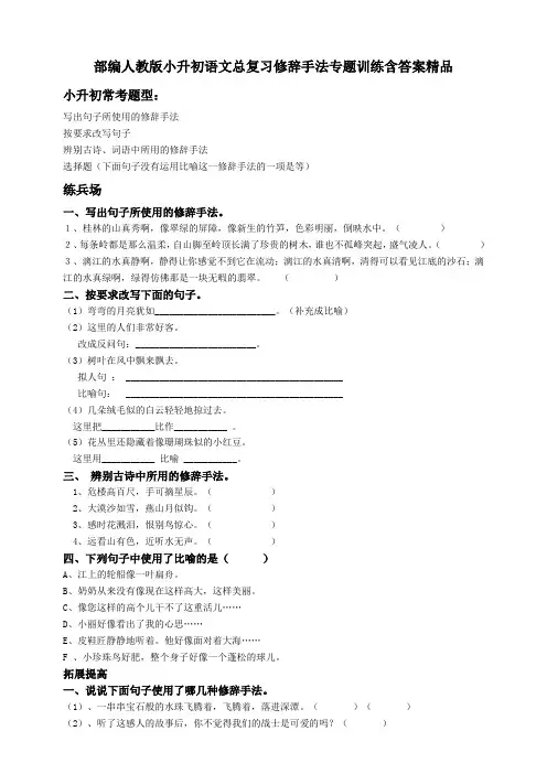 部编人教小升初语文总复习修辞手法专题训练含答案精品