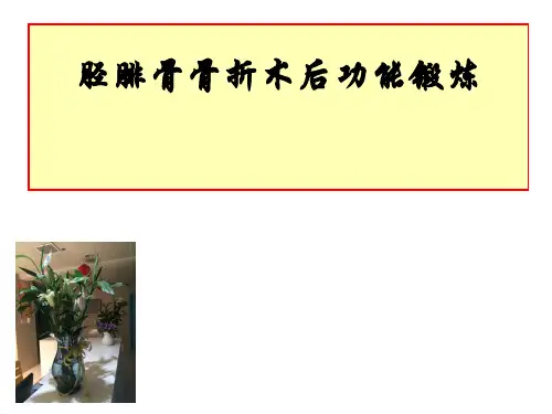 胫腓骨骨折术后功能锻炼医学PPT课件