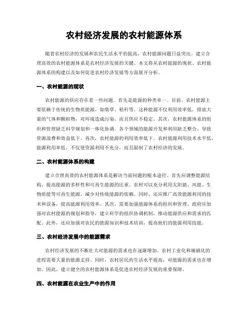 农村经济发展的农村能源体系